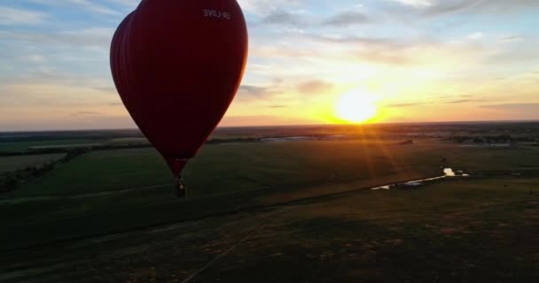 Sıcak Hava Balonlarıyla Tarlaların Üzerinde Uçan Manzara Yeşil Alan Üzerinde — Stok video
