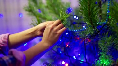 Noel ağacını süsleyen kadın elleri. Noel ağacı dalına dekoratif oyuncaklar asan kadına yakın durun.