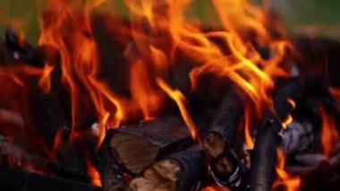 Yanmış odun odunları ateşte yandı. Yanan dallar ve yanan çalılar, yakın