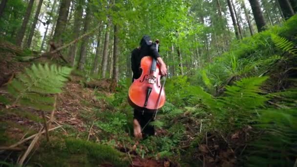 Jonge Vrouw Met Cello Buiten Mooi Meisje Speelt Cello Berg — Stockvideo