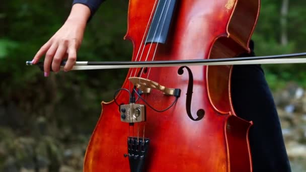 Исполнение Музыки Природе Женщина Исполняющая Музыку Скрипке Открытом Воздухе — стоковое видео
