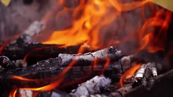 Горящее Пламя Вблизи Крупный План Светящихся Древесных Углей Барбекю — стоковое видео