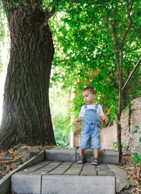 Stone Steps 'te Meraklı Küçük Çocuk. Küçük bir çocuk bazı basamaklarda duruyor.