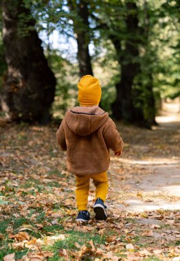Doğayı Keşfeden Küçük Bir Çocuk Yaprakla Kaplanmış Yolda Yürüyor. Küçük bir çocuk yaprak kaplı bir yolda yürüyor.