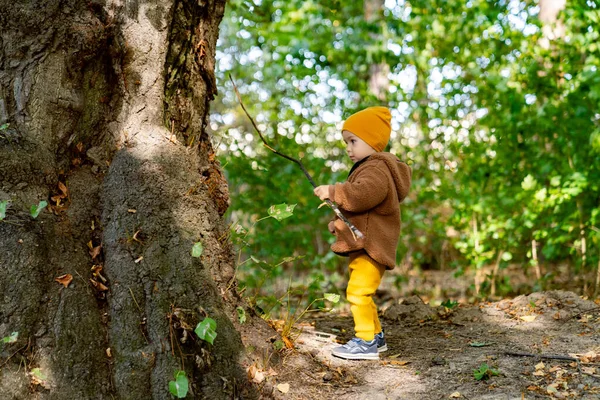 Cozy Brown ceketli ve canlı sarı pantolonlu oyuncu bir çocuk. Kahverengi ceketli ve sarı pantolonlu küçük bir çocuk.