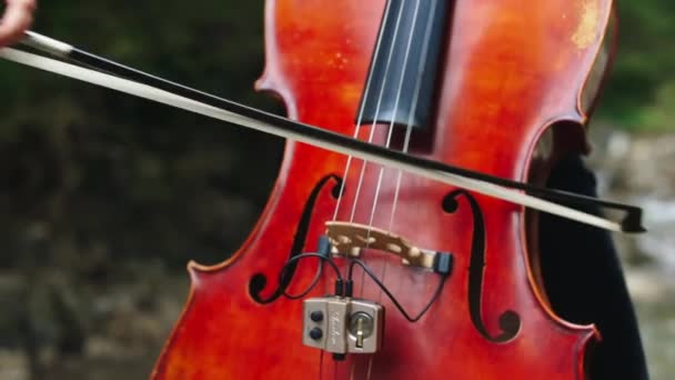 女人拉大提琴的细节在大自然中弹奏大提琴的女人之手 — 图库视频影像