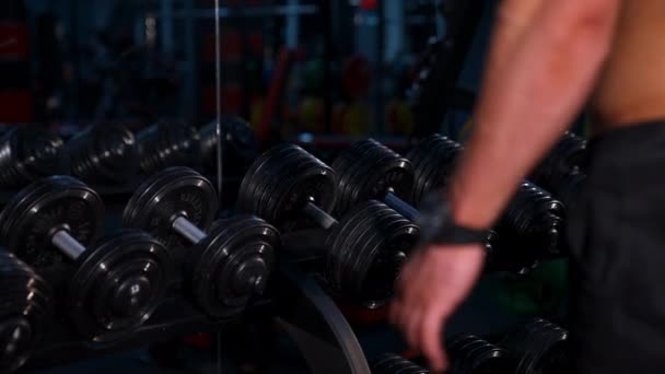 Schöner Muskulöser Mann Beim Heben Von Gewichten Muskelkräftiger Bodybuilder Macht — Stockvideo