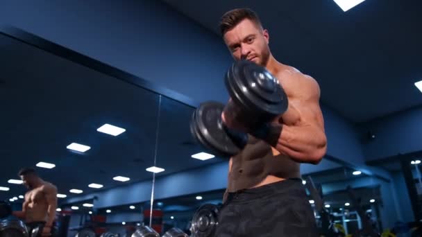 Man Doing Exercises Dumbbells Strong Handsome Sporty Man Making Weight — Stock Video