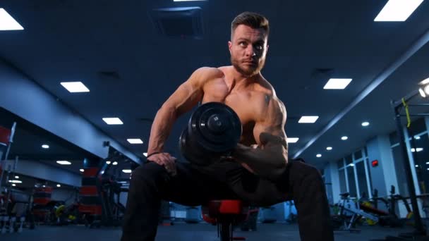 Atletik Adam Dambılla Egzersiz Yapıyor Güçlü Vücut Geliştirici Halterlerle Egzersiz — Stok video