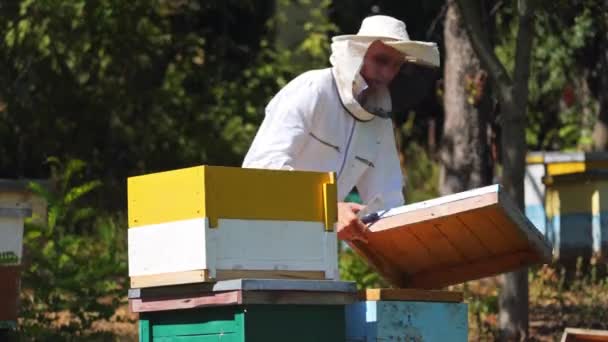 蚜虫学家从蜂窝收集花粉 身穿专业养蜂人服装的男性养蜂人用蜂窝检查木制框架 — 图库视频影像