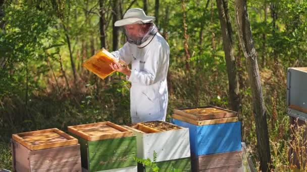 健康的なバイオ食品と養蜂 ハチミツと蜂蜜の組み合わせを取得する保護スーツの養蜂家の肖像画 — ストック動画