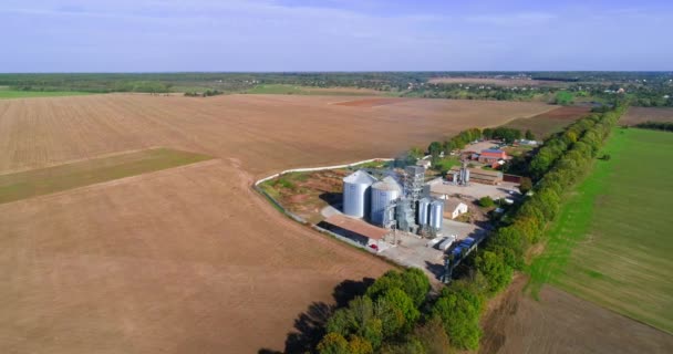 Lagersilos Auf Dem Bauernhof Luftaufnahme Eines Getreidesilos Grünen Feld — Stockvideo