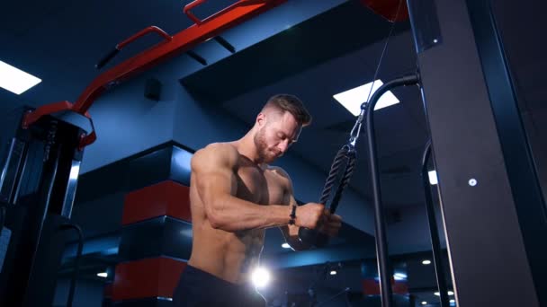 Trizepsübungen Fitnessstudio Schöner Muskulöser Mann Trainiert Fitnessstudio — Stockvideo