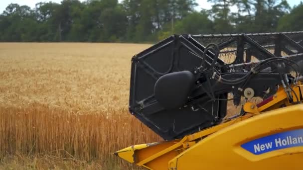 Sklizňový Stroj Pracuje Terénu Kombinovat Sklizeň Poli Zlaté Pšenice — Stock video