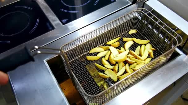 Gotowanie Frytek Frytkownicy Smażenie Ziemniaków Koszu Frytkownicy — Wideo stockowe