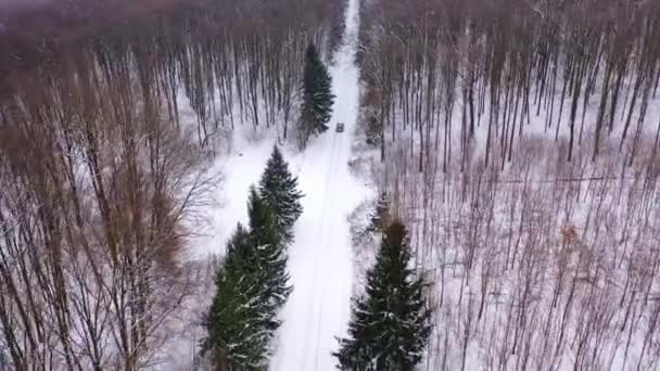 Vliegen Het Winterbos Luchtfoto Drone Uitzicht Het Winterlandschap — Stockvideo