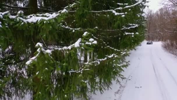 Pohled Zasněžený Les Letecký Pohled Auto Venkovské Silnici Zimním Lese — Stock video