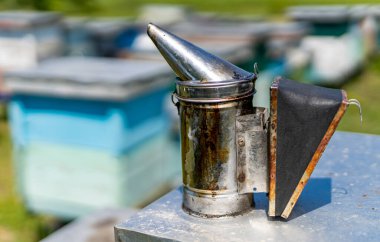 Çimlerin üzerinde bir grup arı kovanı var. Yemyeşil bir alanda arı kovanları