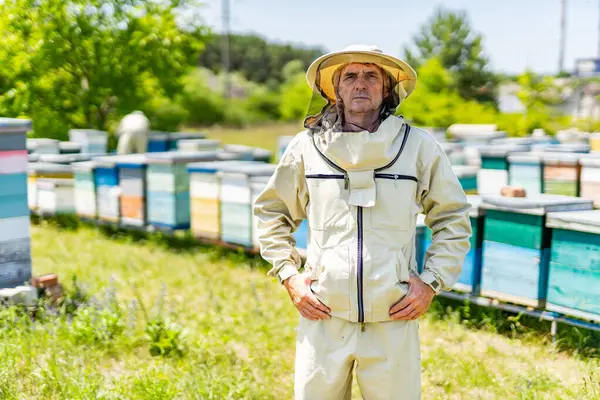 A man in a bee suit standing in front of a line of beehives. Man in Bee Suit Observing Beehives