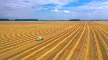 Kırsal arazinin havadan görünüşü. Altın buğday tarlasında hasat sırasında birleştir