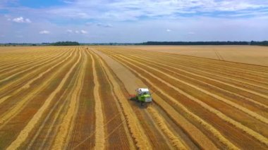 Geniş tarlaları birleştirin. Tarım makineleri altın buğday tarlası topluyor