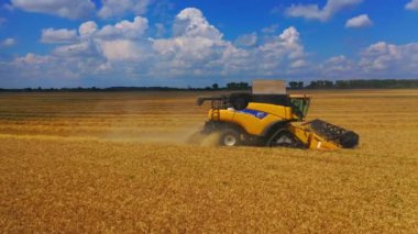 Sarı buldozer tarlada hasat yapıyor. Sarı İHA görüntüsü hasat mahsulünü birleştiriyor.