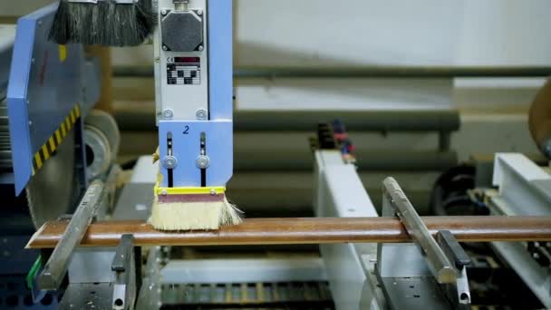 Herstellungsprozess Von Holztüren Ausrüstung Für Die Produktion Von Möbeln Der — Stockvideo
