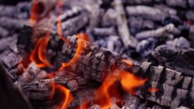 Kavurucu kırmızı alevler rüzgarla üflendi. Yanmış odun. Ateşin gücü. Video.