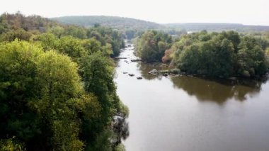 Orman pürüzsüz desen. Yukarıdan bak. Ahşap ya da ormanın üzerinde yeşil ağaçlar ve nehir olan hava manzarası.