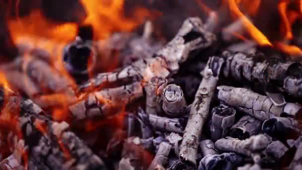慢动作拔出一个大篝火的夹子 在夜晚明亮地燃烧着 火的力量 — 图库视频影像