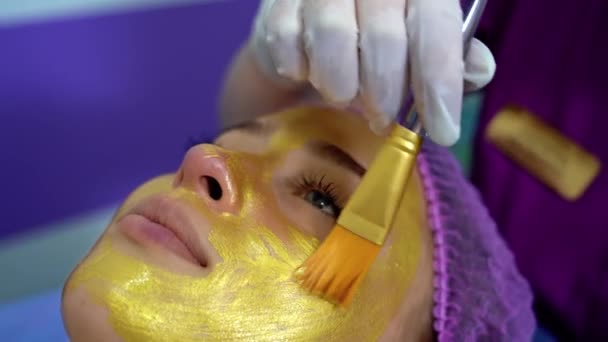 エステで美容師に顔面栄養マスクを受ける女 フェイスマスク スパの美容トリートメント スキンケアを適用 — ストック動画