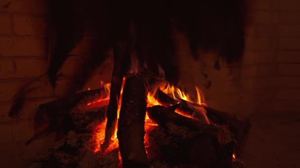 Пожежа Горить Близько Полум Холодний Вечір Вибірковий Фокус Відео — стокове відео