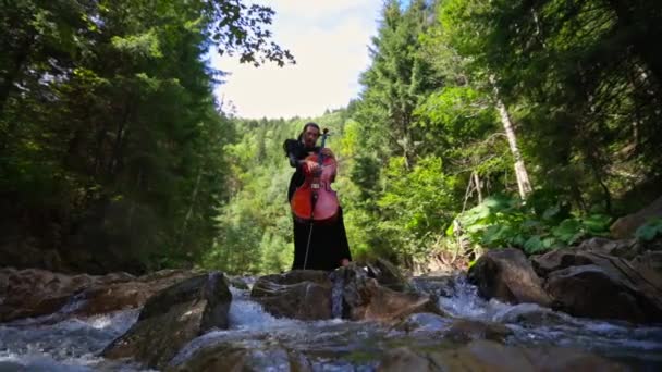 Mujer Músico Toca Violonchelo Fondo Naturaleza Árboles Verdes Río Montaña — Vídeos de Stock