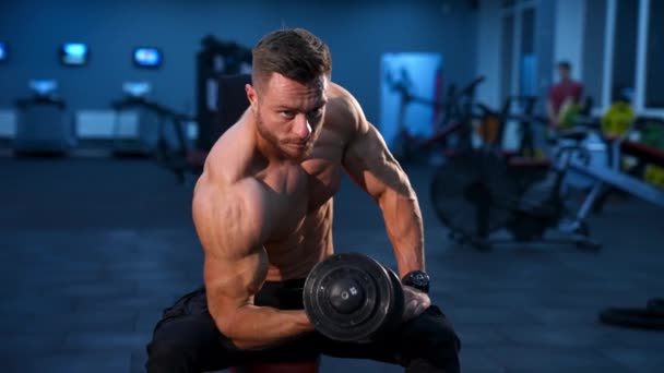 Knappe Power Atletische Man Bodybuilder Doet Oefeningen Met Halter Fitness — Stockvideo