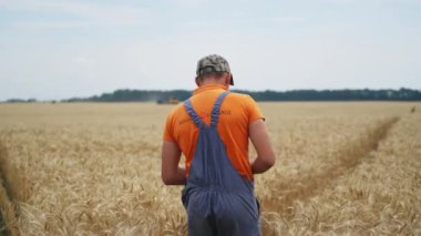 Çiftçi hasat sürecini gözlemliyor. Birleşme sahada işe yarıyor. Kuru buğday ve kırsal alan.