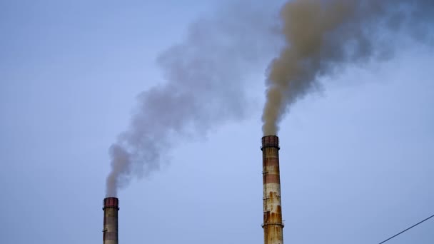Дым Льется Двух Промышленных Труб Заводские Кокционные Трубы Загрязняют Воздух — стоковое видео