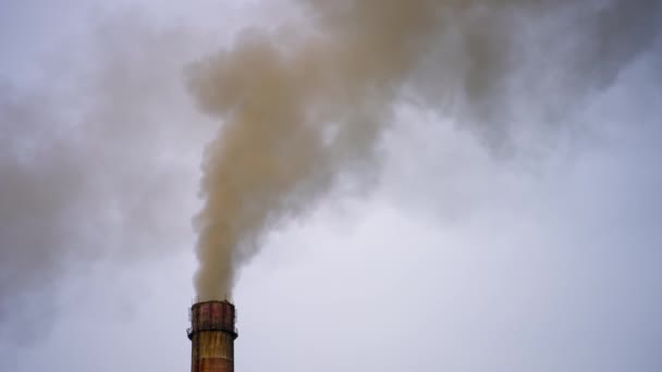 Tubos Fábrica Fumo Fumo Branco Sai Chaminé Fábrica Poluição Conceito — Vídeo de Stock