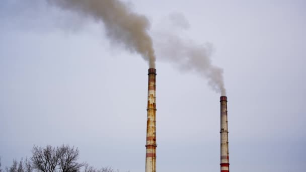 Zona Industrial Com Grandes Tubos Fumaça Branca Espessa Está Derramando — Vídeo de Stock