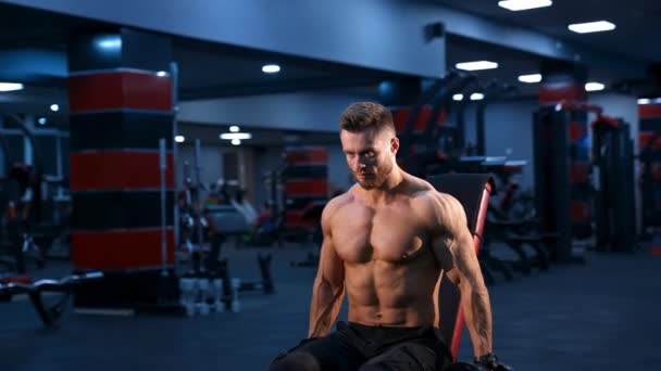 Handsome Power Athletic Man Bodybuilder Doing Exercises Dumbbells Fitness Muscular — Stock Video