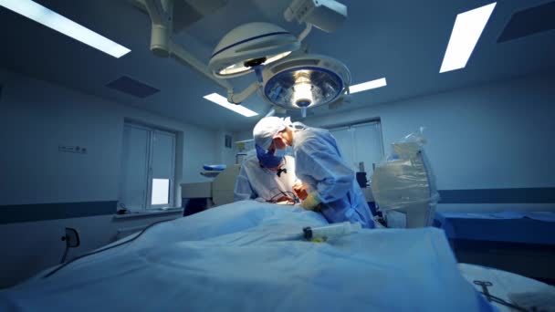 神経外科手術器具を持った専門医 無菌手袋の外科医は 現代の医療ツールを使用しています 手術を提供する外科医 — ストック動画