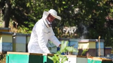 Erkek arı yetiştiricisi renkli kovanların arasında tahta kutuyla yürüyor. Bir adamın koruyucu giysileri. Apiary kavramı.