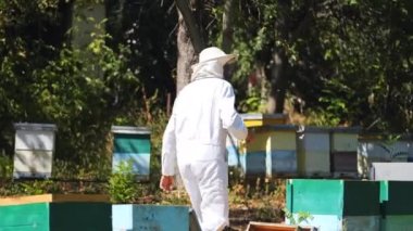 Arı yetiştiricisi arıcıda bal toplar. Koruyucu beyaz üniforma giymiş bir adam. Yaz bahçesi geçmişi. Apiary temiz hava alıyor..