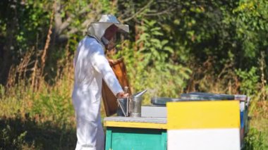 Bal hücreleri arı sahibinin ellerinde. Erkek arı yetiştiricisi arı kovanlarının yakınında çalışır. Bahçede yaz zamanı. Apiculture kavramı.