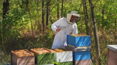 Arı kovanının çerçeveleri. Arı yetiştiricisi bal topluyor. Bal hücreleri üzerinde çalışan arılar. Apiary kavramı.