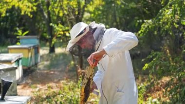 Arıcı apiary'de arı ve arı kovanlarıyla çalışır. Arıcılık kavramı.