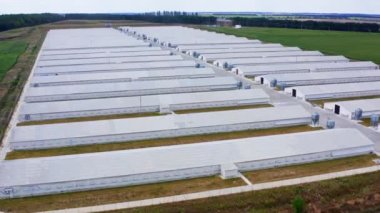 Yeşil bir alanda prefabrik çiftlik binası. Kırsal alanda birçok endüstriyel bina var. Yukarıdan Poltry çiftliğinin beyaz çatılarına bak.