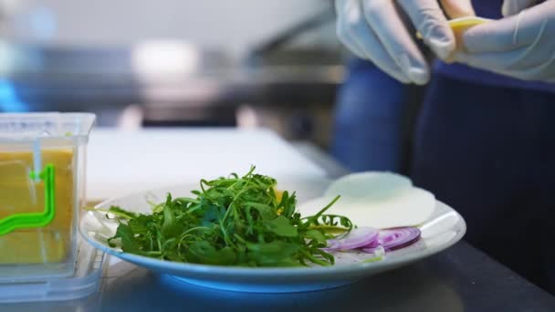 Roquette Fromage Oignon Dans Assiette Ingrédients Pour Une Salade Savoureuse — Video