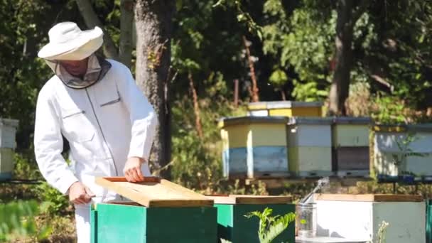 Пчеловод Работает Пчелами Ульями Пасеке Пчеловод Пасеке — стоковое видео