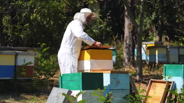 养蜂人在养蜂场与蜜蜂和蜂窝一起工作 4月1日的养蜂人 — 图库视频影像