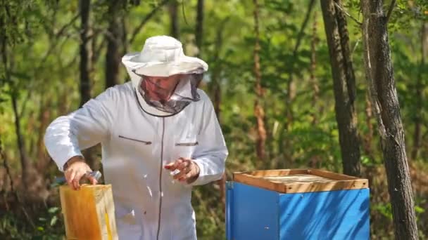 Arı Yetiştiricisi Arıcıda Çalışıyor Koruyucu Elbiseli Adam Arı Kovanlarını Bal — Stok video